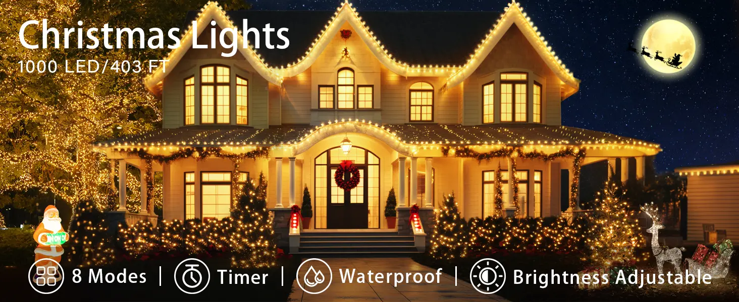 Super Long Outdoor Christmas Lights For House Reviews