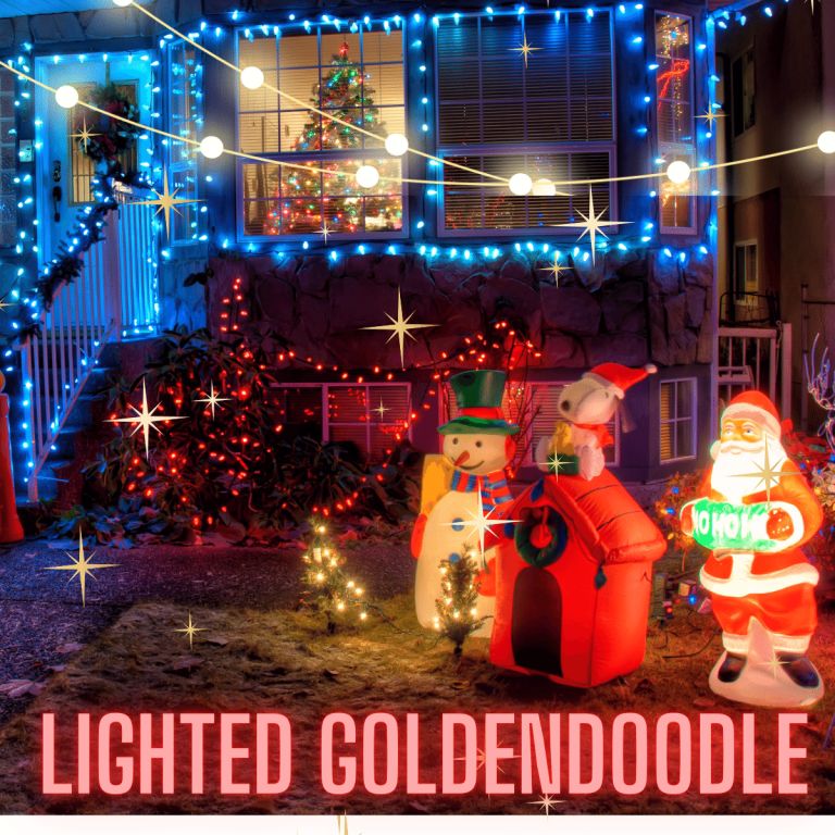 Lighted Goldendoodle Outdoor Christmas 