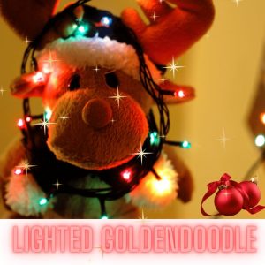 Lighted Goldendoodle Outdoor Christmas Decoration